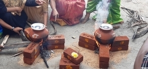 Pongal